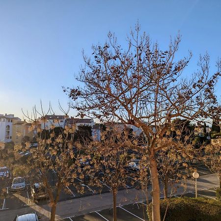 Appartement Cosy Avec Parking Proche Port Et Plage アグド エクステリア 写真