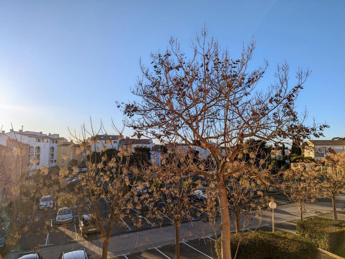 Appartement Cosy Avec Parking Proche Port Et Plage アグド エクステリア 写真