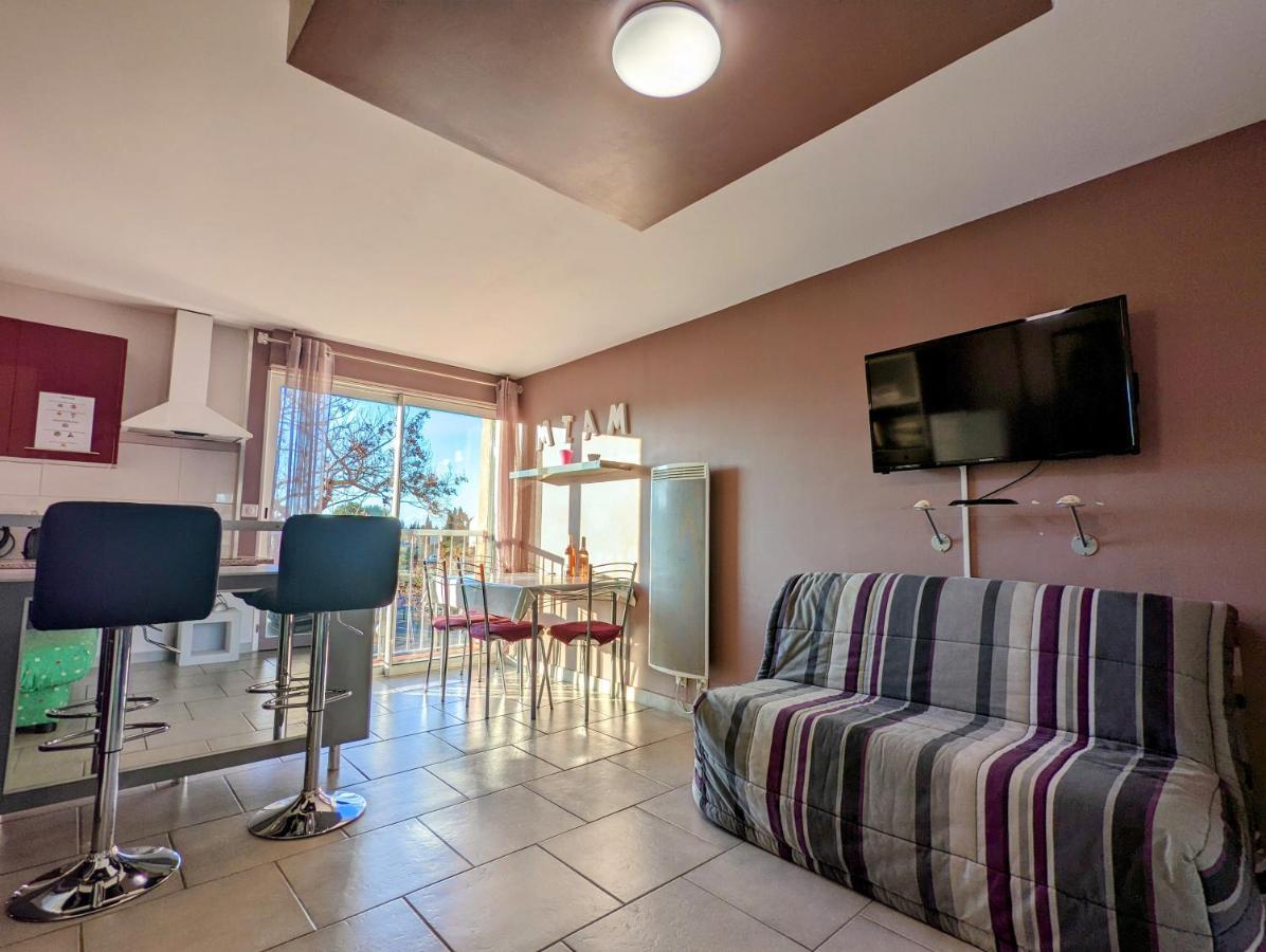 Appartement Cosy Avec Parking Proche Port Et Plage アグド エクステリア 写真